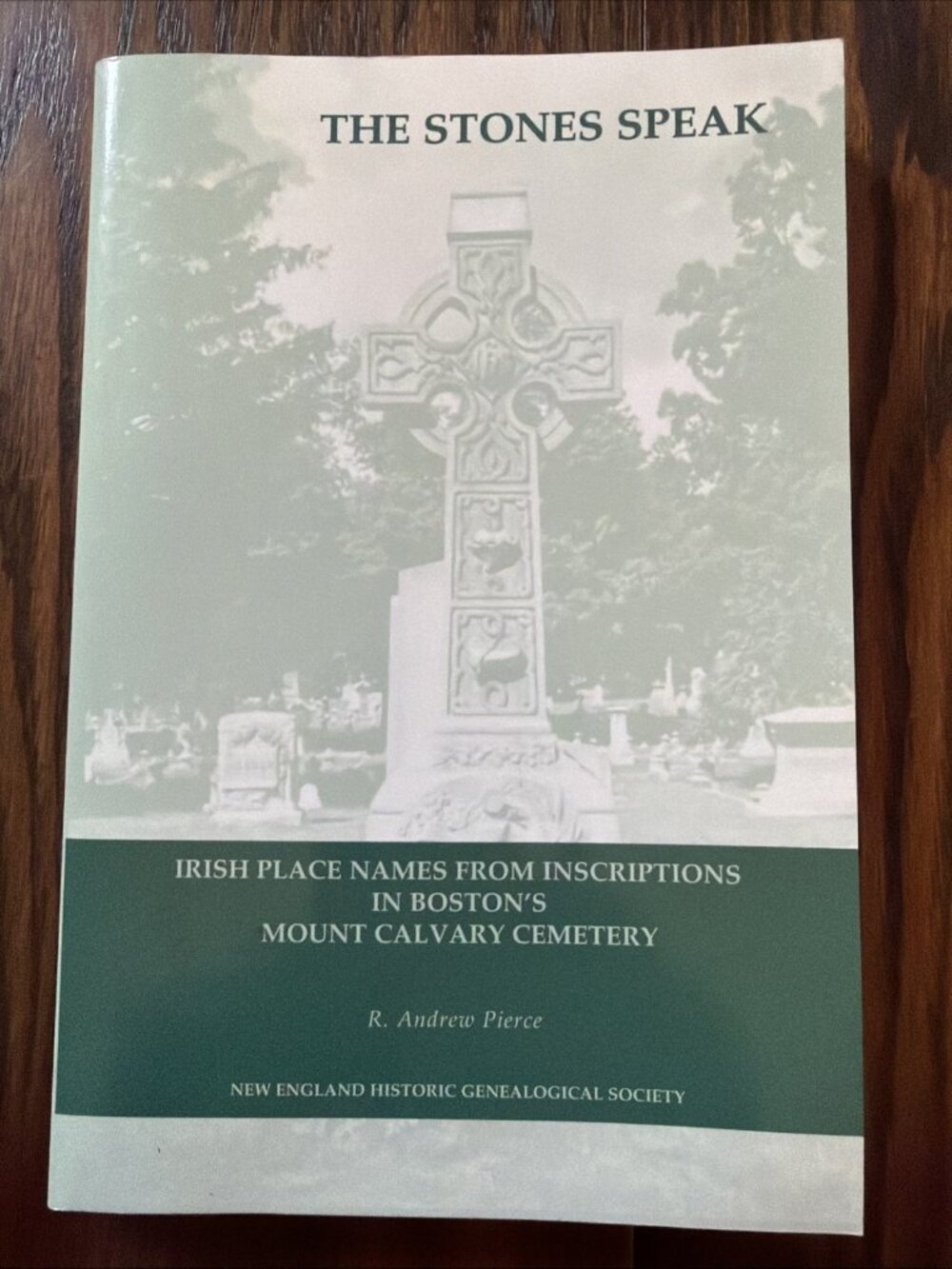 STONES SPEAK Irish Names Boston‎ Mount Calvary Cemetery SC 1st 2000 Genealogy